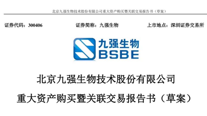 Pfu酶与Taq酶：保真度对比解析