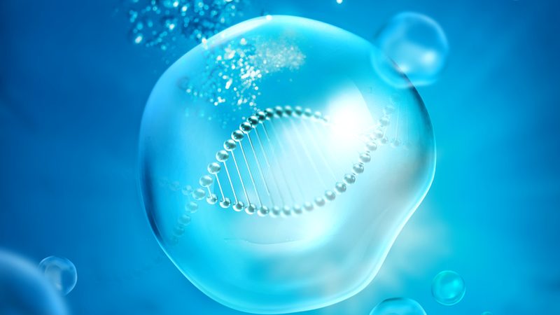上海生物制品采购，如何确保合规与安全？**