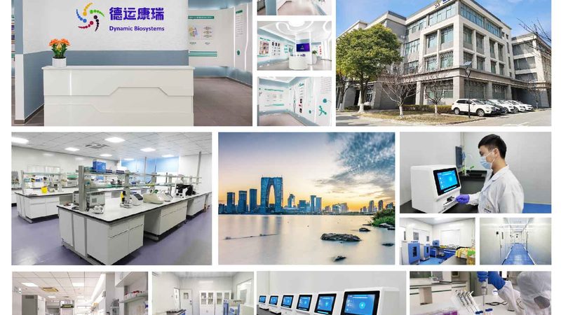DNA连接酶反应条件：优化策略与关键要点