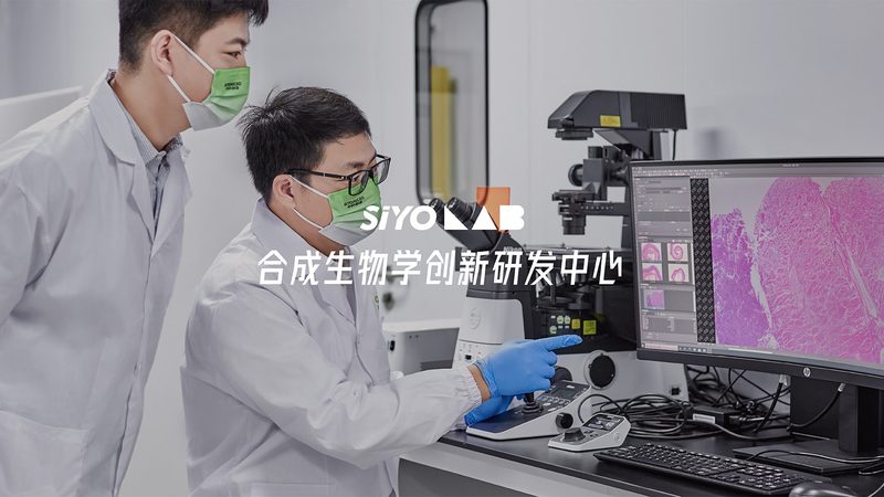 细胞培养基：揭秘其背后的科学奥秘与选购要点**