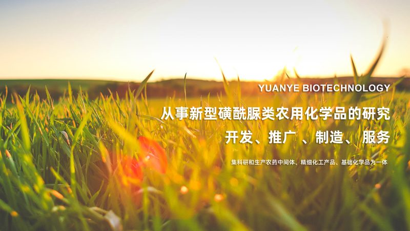 细胞基因治疗外包研发：揭秘行业背后的秘密**