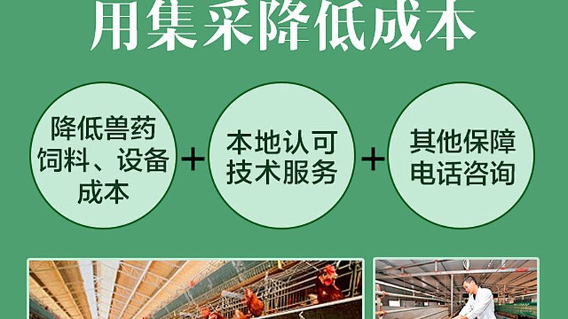 CDMO项目合作：揭秘其优势与潜在风险