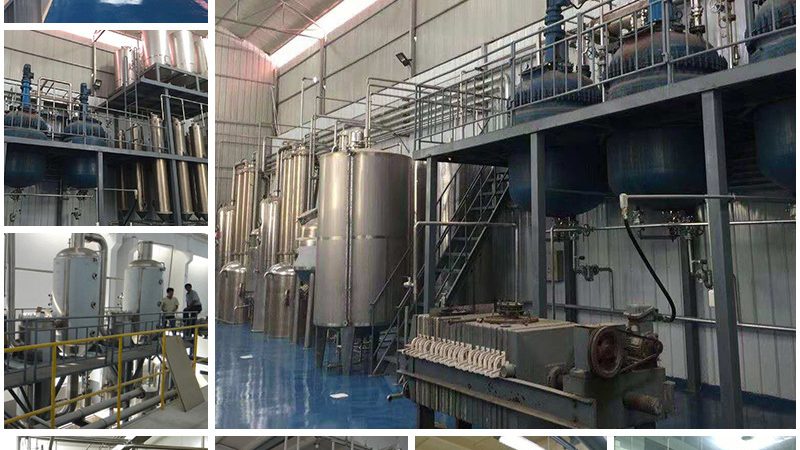 国产细胞培养基：如何选择适合您的最佳方案**