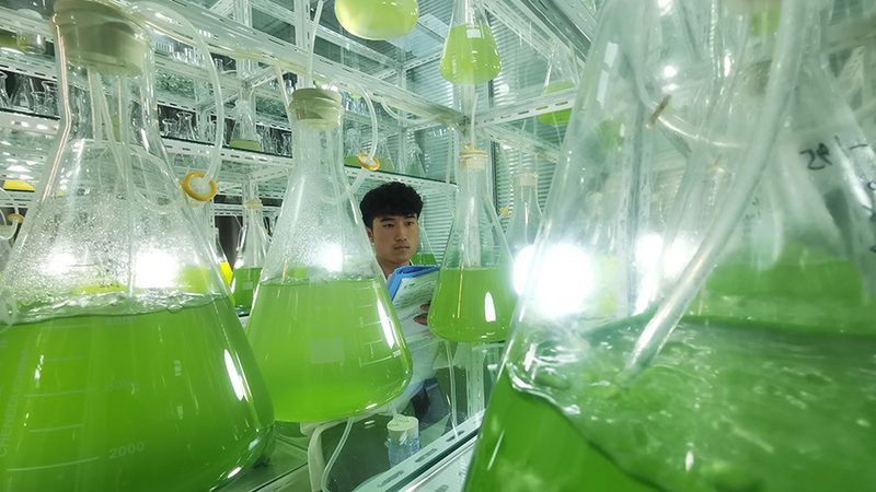 细胞培养基定制，揭秘其流程与关键步骤**